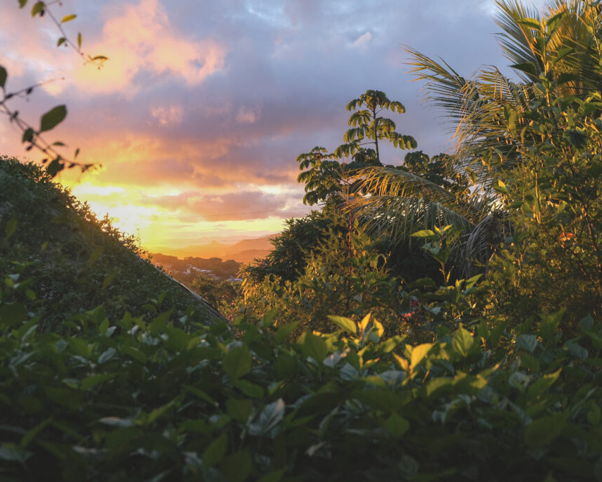 Hike to Apante Nature Reserve & visit Agualí Biological Station